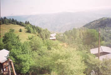 Bilgin Kaya