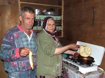 Bişi minda