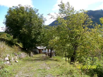 Yavuzköy