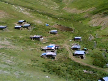 Hacip Temur