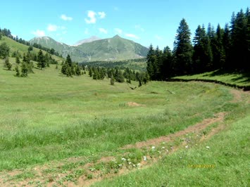 Sakonniyet