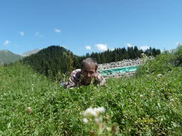 Yüksel Tekin