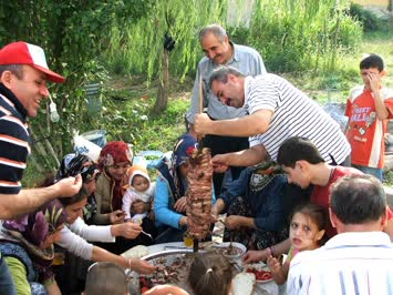 Yücel Güvercin