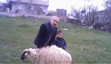 Cinal