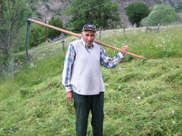 Cinal