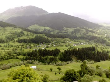 Ankliya