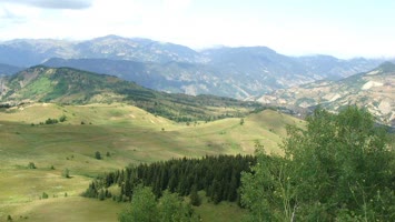 Turmanize
