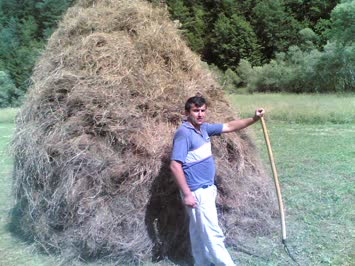 Hacip Temur