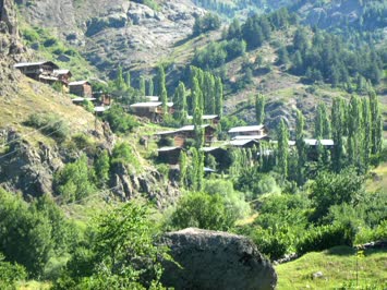 Cinal
