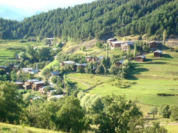 Turmanize