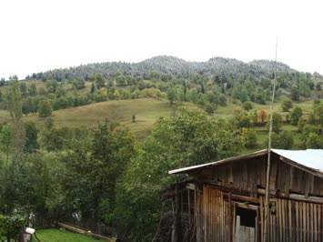 Turmanize