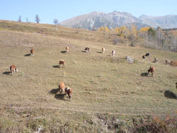 Sulobanda Güz