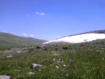 Yaylada Kürtük