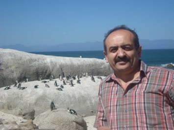 Güney Afrikada Penguenlerle