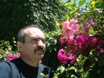 Güney Afrikadan