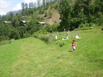 Dadiyent