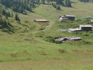 işte Sakonniyet