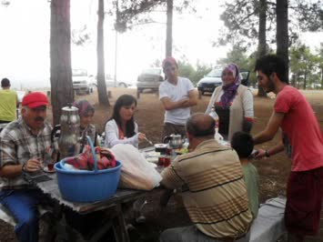 Cinal