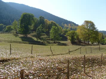 Yamaçlı
