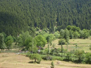 Yamaçlı