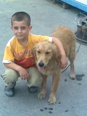 murat ve riko diye bir köpek