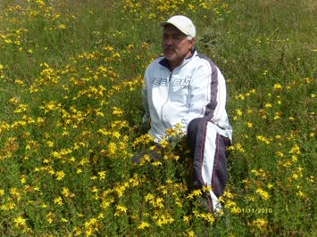 Yüksel Tekin