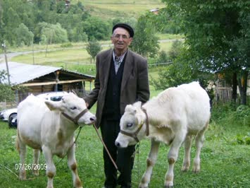 Selahattin Başar - Çisvet
