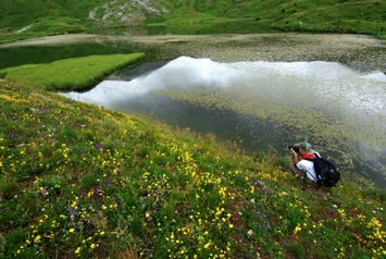 Arsiyan