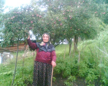 asiye aydın