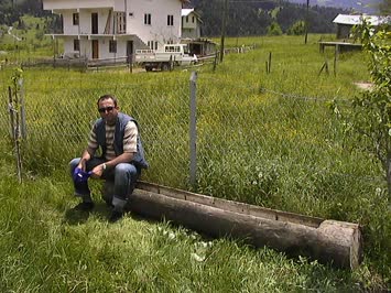Yunus Turan