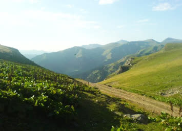 yayla yolu