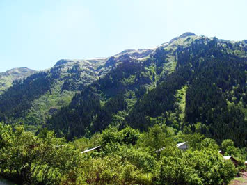 köy