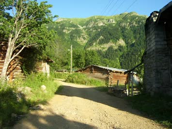 köyün içi