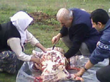 Cinal