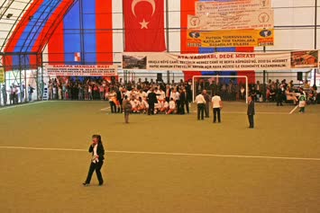 Turnuva / 2010