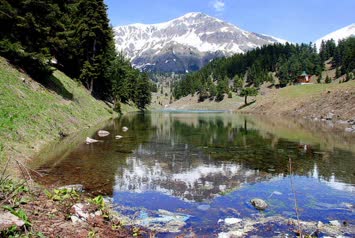 balık gölü