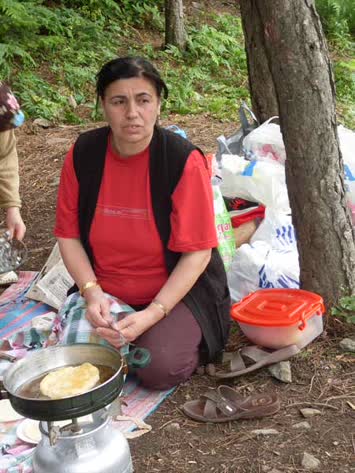 nurşen yaşar bursa alaçam 2010 piknik