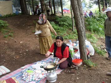 2010 piknik bursa alaçam