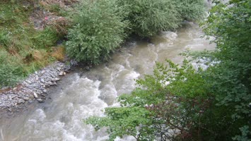 Ankliya Resimleri