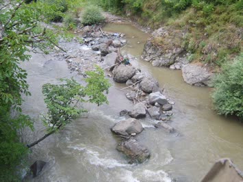 Ankliya Resimleri