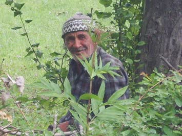 Tutiye Yılmaz Alkan Galeri