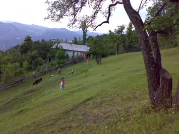 Yamaçlı