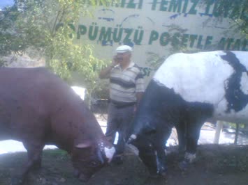 Cinal