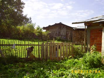 Süles