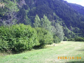 Süles