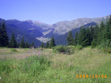 Süles
