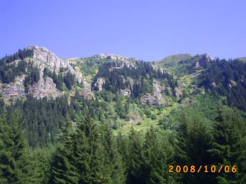 Süles