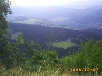 Süles
