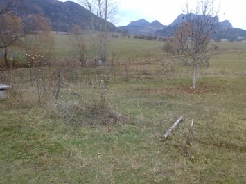 Köy