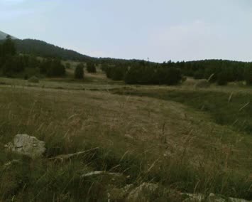 Tabagetil